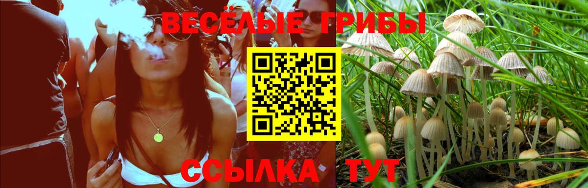 Псилоцибиновые грибы Cubensis Дубна